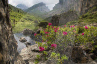 Ruedi F�hn, Bauernfamilie, Reportage Alpsommer 2014