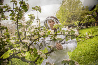 Andreas Furrer, Imker Reportage in Greich 2014
