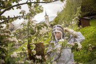 Andreas Furrer, Imker Reportage in Greich 2014