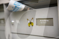 Marc de Roche, Papa Papillon, Schweizer Schmetterlingsz�chter 2014