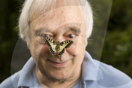 Marc de Roche, Papa Papillon, Schweizer Schmetterlingsz�chter 2014