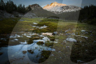 100 Jahre Schweizerischer Nationalpark, 2014