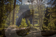 100 Jahre Schweizerischer Nationalpark, 2014