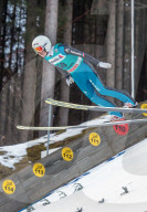 SKISPRINGEN ENGELBERG 2015