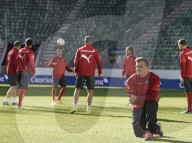 EM-QUALIFIKATION SCHWEIZ - LITAUEN