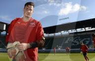 EM-QUALIFIKATION SCHWEIZ - LITAUEN