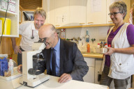 Alain Berset, Bundesrat 2014