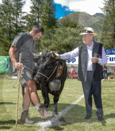 DAS 18. SEPP BLATTER TURNIER 