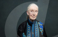 STUDIO - Jane Goodall