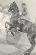 Paul August Ringier