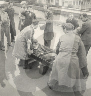 rdb00250846