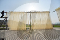 FEATURE - Noodle Fabrik in China