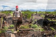 REPORTAGE - Orang-Utan Station auf Sumatra