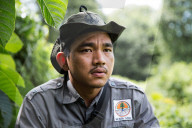 REPORTAGE - Orang-Utan Station auf Sumatra