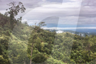 REPORTAGE - Orang-Utan Station auf Sumatra
