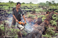 REPORTAGE - Orang-Utan Station auf Sumatra