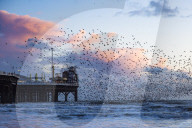 FEATURE - Pix of the Day: Die Bilder des Tages
