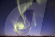 FEATURE - Pix of the Day: Bilder des Tages