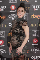 PEOPLE - Cristian Brondo lässt ihren nackten Babybauch durchblitzen an den Goya Awards in Madrid