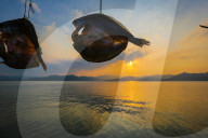 FEATURE - Best of: Die Bilder des Tages