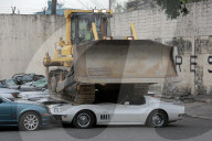 FEATURE - Pix of the Day: Bilder des Tages