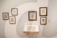 NEWS - New York: Tarsila do Amaral Ausstellung im MoMa