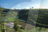 REPORTAGE - Sri Lanka: Nuwara Eliya the Little England