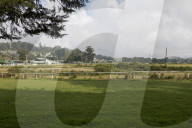 REPORTAGE - Sri Lanka: Nuwara Eliya the Little England