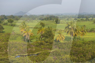 REPORTAGE - Sri Lanka: Landschaft