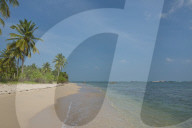 REPORTAGE - Sri Lanka: Landschaft