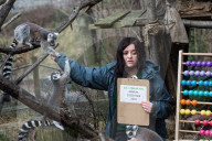 FEATURE - Invertar in London Zoo