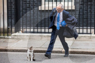 NEWS -  Brexit: Kazuo Okamato schleicht Larry the Cat an der Downing Street an