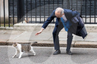 NEWS -  Brexit: Kazuo Okamato schleicht Larry the Cat an der Downing Street an