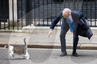 NEWS -  Brexit: Kazuo Okamato schleicht Larry the Cat an der Downing Street an