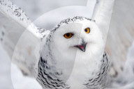 FEATURE - Best of: Bilder des Tages