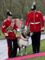 Prince Charles visit to Mercian Regiment Bulford Camp, Wiltshire, UK - 09 Feb 2018