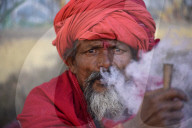 FEATURE - Pix of the Day: Bilder des Tages
