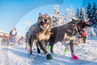 FEATURE - Pix of the Day: Bilder des Tages