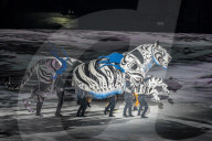 FEATURE - Pix of the Day: Bilder des Tages