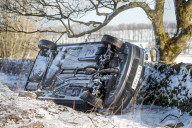 FEATURE - Pix of the Day: Bilder des Tages