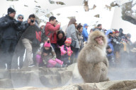FEATURE - Japan: Affen Wellness im Joshinetsu Kogen National Park