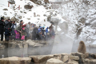 FEATURE - Japan: Affen Wellness im Joshinetsu Kogen National Park