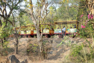 NEWS -  Angst vor dem Leoparden in der indischen Grossstadt Mumbai