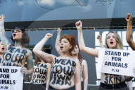NEWS - PETA Flash Mob zum Auftakt der London Fashion Week