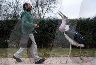 FEATURE - Pix of the Day: Bilder des Tages