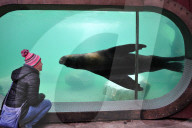 FEATURE - Pix of the Day: Bilder des Tages