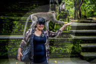 FEATURE - Bali: Affen im Tempel bei Ubud