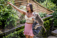 FEATURE - Bali: Affen im Tempel bei Ubud