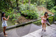 FEATURE - Bali: Affen im Tempel bei Ubud