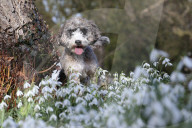 FEATURE - Pix of the Day: Bilder des Tages